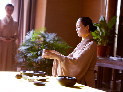 茶会禅茶茶艺表演