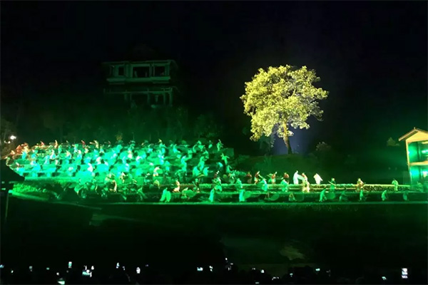 威尼斯娱乐武夷山茶游学