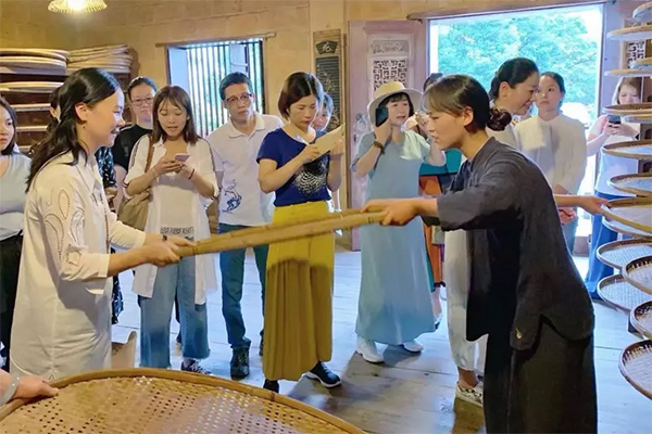 心馨茶艺武夷山茶游学