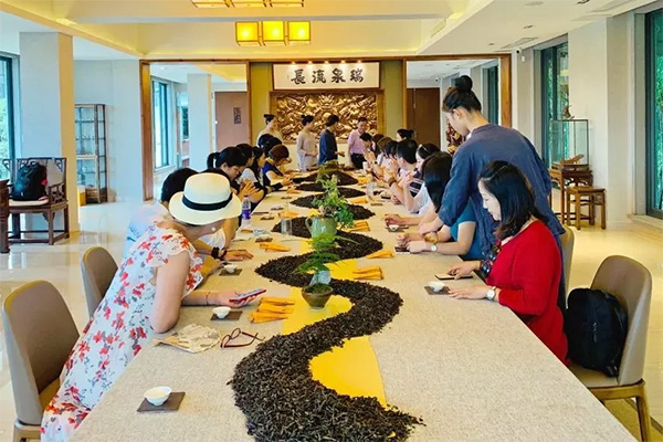威尼斯娱乐武夷山茶游学