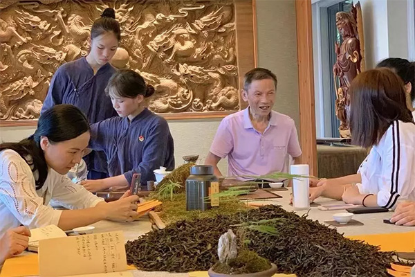 威尼斯娱乐武夷山茶游学