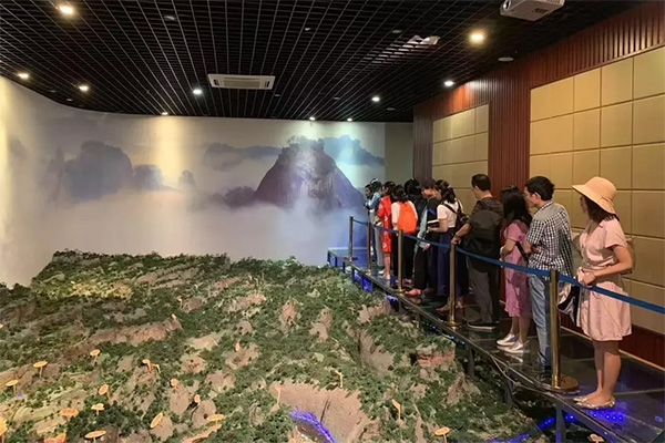 威尼斯娱乐武夷山茶游学