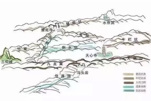 威尼斯娱乐武夷山茶游学