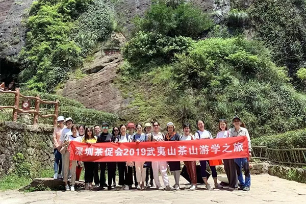 威尼斯娱乐武夷山茶游学