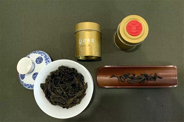 威尼斯娱乐武夷山茶游学