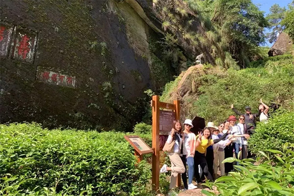 心馨茶艺武夷山茶游学